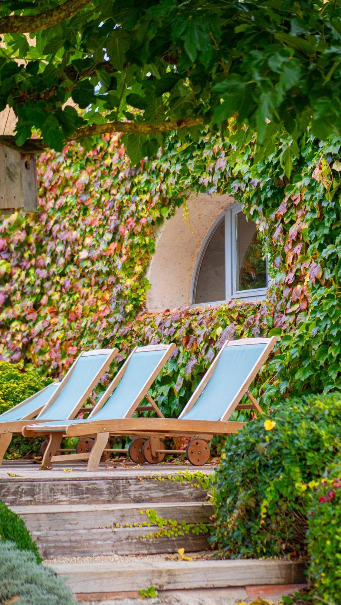 Bed and Breakfast Propriété Le Monneton Sainte-Christie Esterno foto